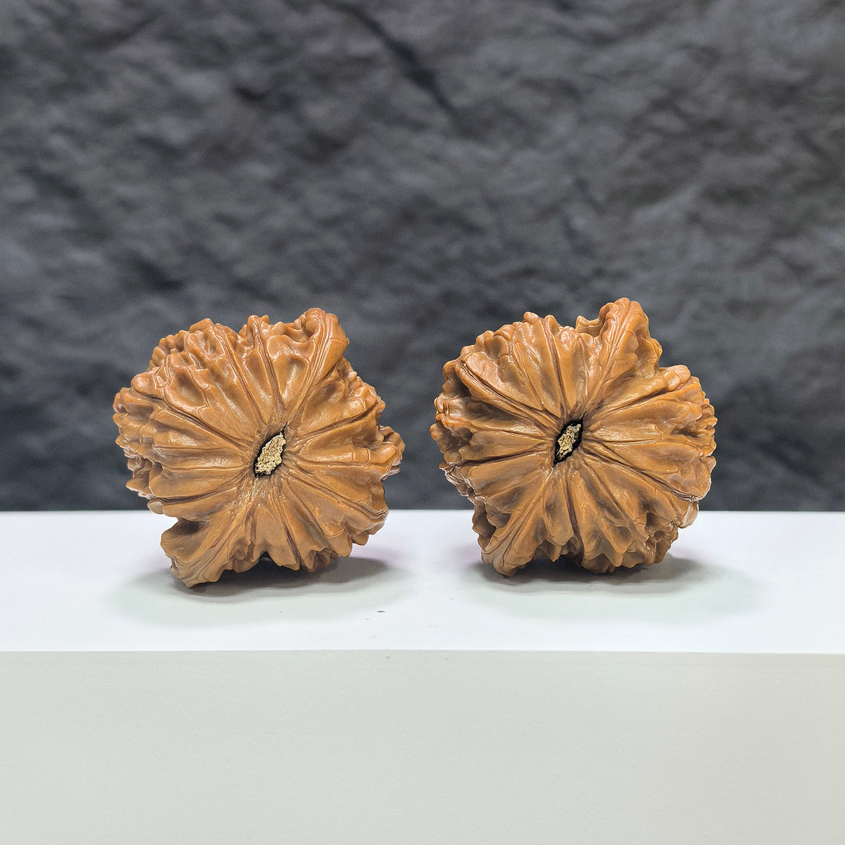 Pair of Classic Scholar Wenwan Walnut hand-matched art walnuts from Wenwan Art, 41mm x 39mm, showcasing detailed craftsmanship.