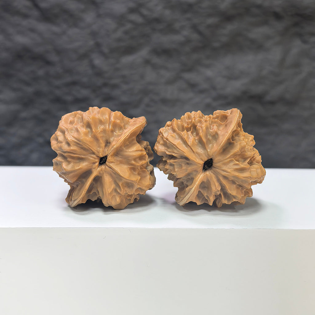 Wenwan Art Pocket White Snake Valley miniature Wenwan walnut pair, 36mm, featuring detailed white snake valley carvings.
