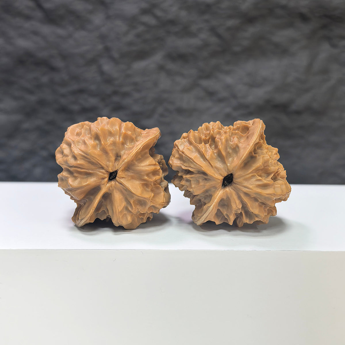 Wenwan Art Pocket White Snake Valley miniature Wenwan walnut pair, 36mm, featuring detailed white snake valley carvings.