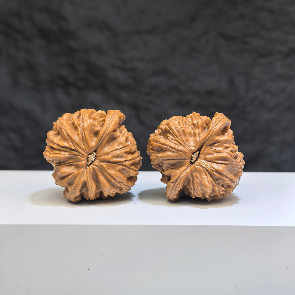 Pair of Pocket Spherical White Lion Wenwan Walnuts from Wenwan Art, round-profile 35mm size with detailed white lion carvings.