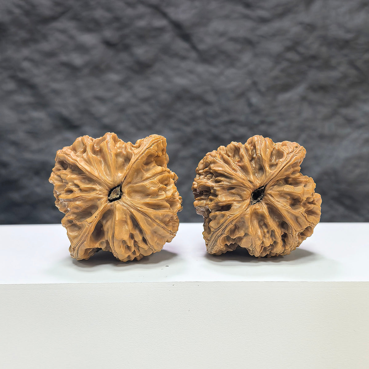 Pair of Classic Scholar Wenwan Walnuts by Wenwan Art, hand-matched with桃心虎頭王 design, measuring 44mm x 42mm, detailed carvings.