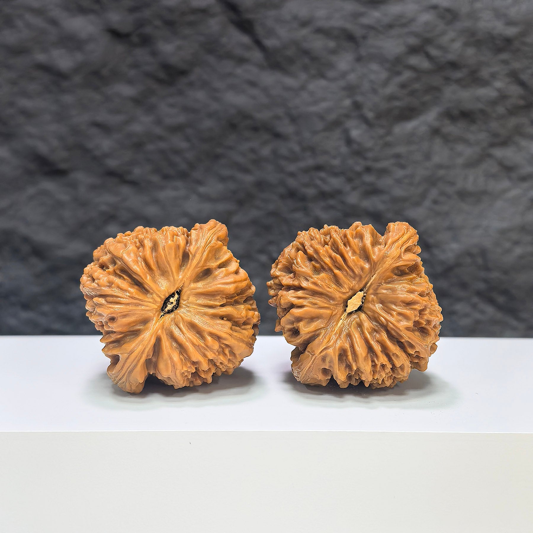 【收藏級】三角南疆石 文玩核桃 (4.0 × 3.9cm) | [Collector's Grade] Tri-Angular Nanjiangstone Walnut (4.0 × 3.9cm) - SKU: SJNJS-1C0