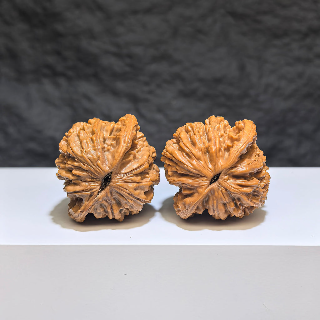 Wenwan Art Wheat Ear Tiger Head Classic Wenwan Walnut pair, 38mm x 36mm, detailed tiger head design, natural wood finish.