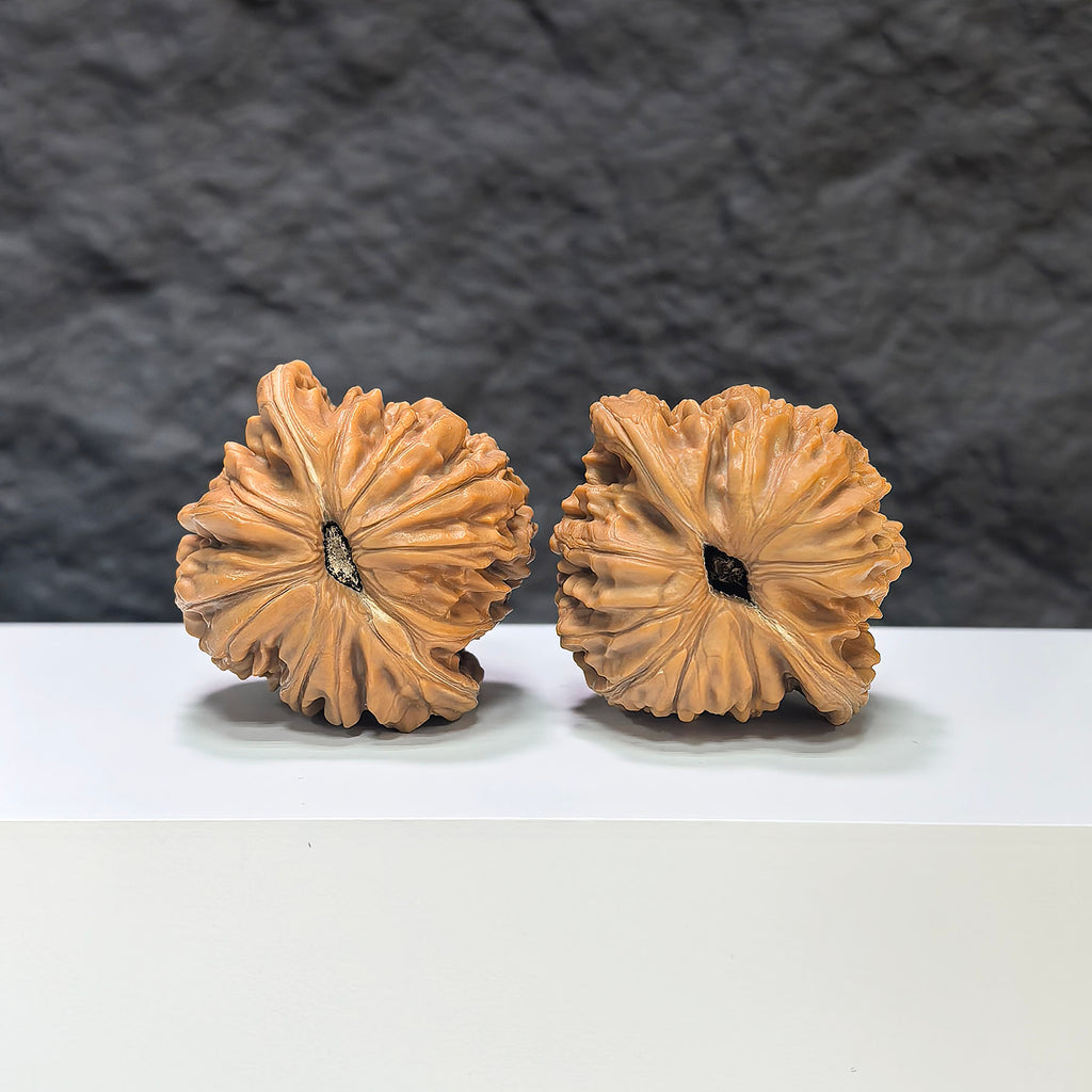Selected grade Wenwan walnut from Wenwan Art, four-seat Sizuolou walnut with smooth surface and natural wood grain, 4.2x3.8cm.