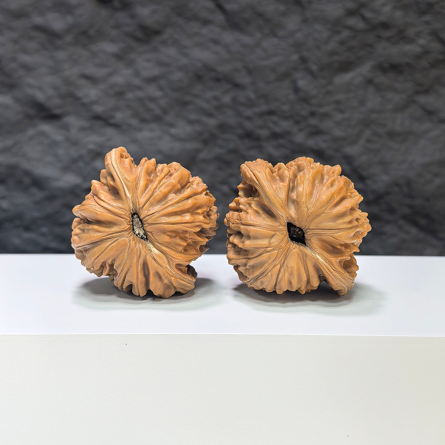 Selected grade Wenwan walnut from Wenwan Art, four-seat Sizuolou walnut with smooth surface and natural wood grain, 4.2x3.8cm.