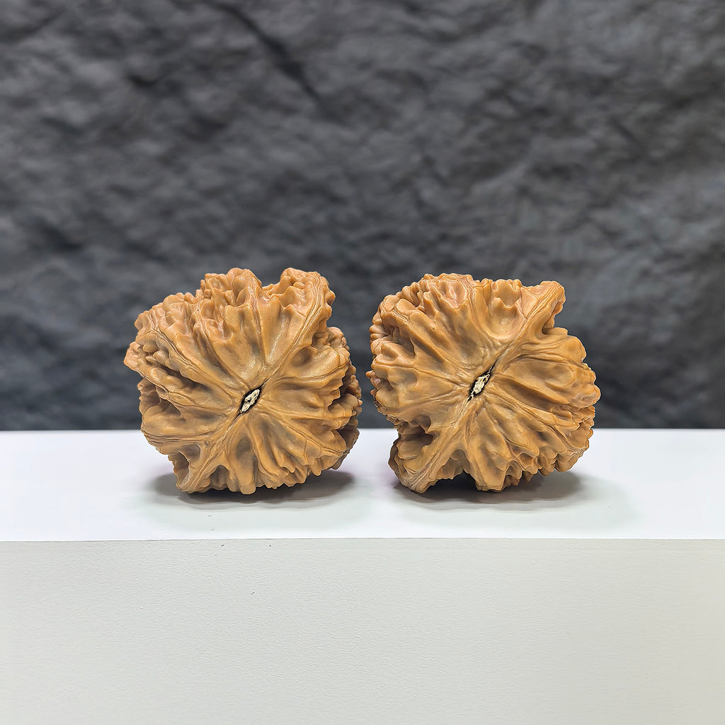 Pair of Beijing Chicken Heart Wenwan walnuts by Wenwan Art, featuring 41mm size with smooth, polished walnut shells.