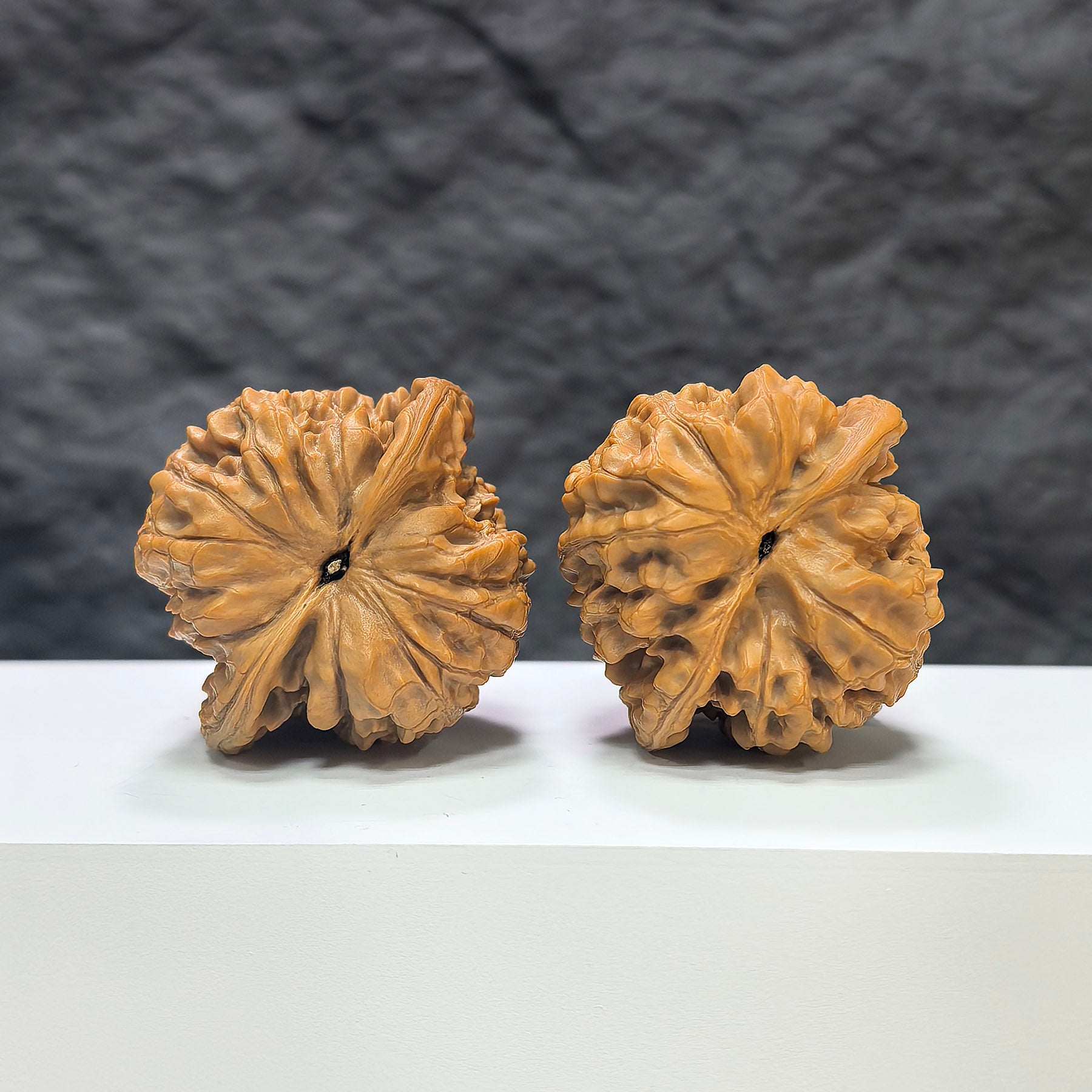 Official Wenwan Walnuts pair, classic Wenwan Art walnut with 44mm x 41mm size, showcasing detailed craftsmanship and natural walnut appearance.