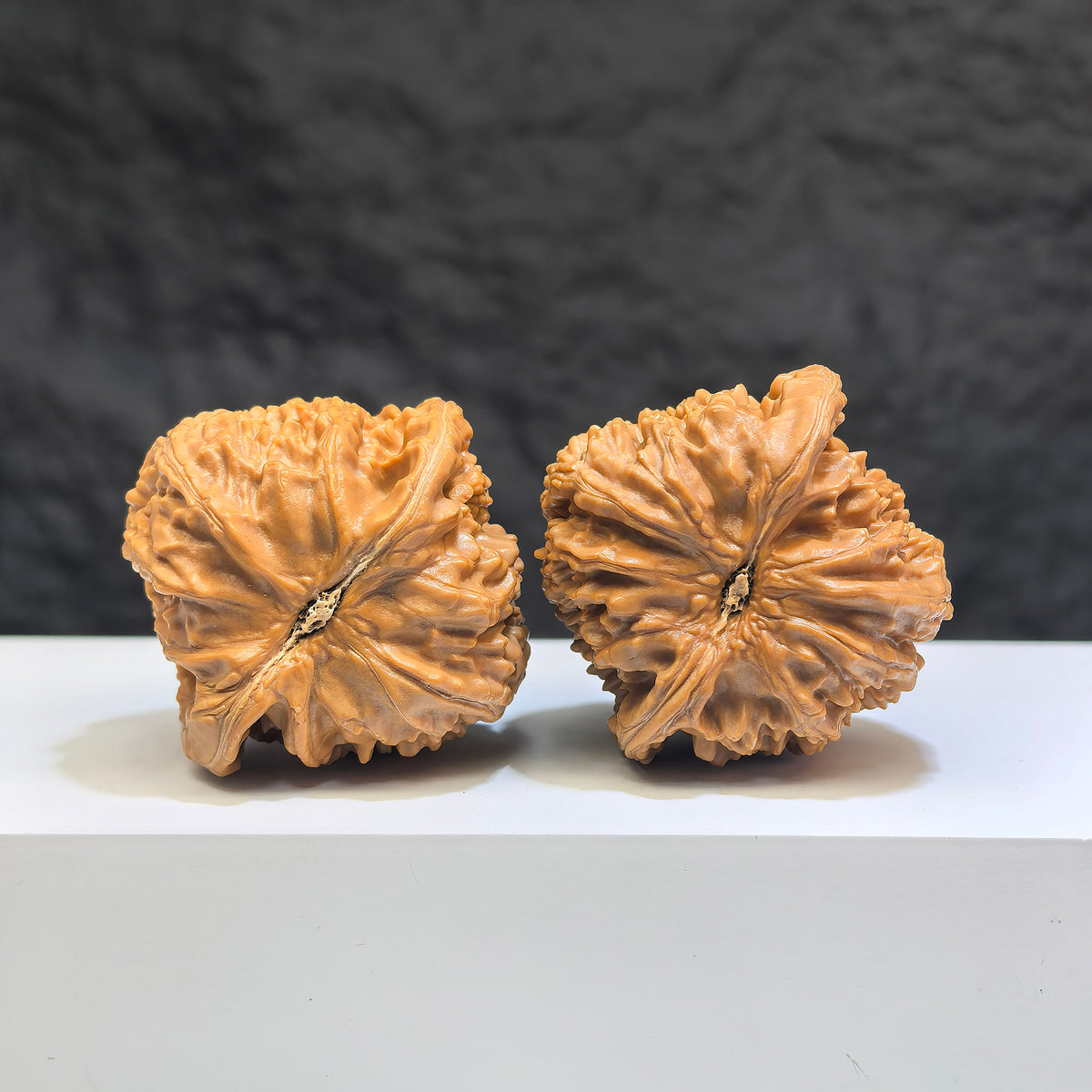 White Lion Wenwan Walnut pair by Wenwan Art, 39mm x 39mm, featuring detailed carved white lion designs on classic walnut surfaces.