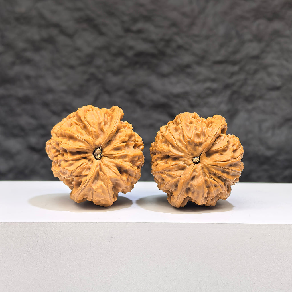 Pair of Wenwan Art Pocket Yuhua Stone miniature walnuts, 34mm x 33mm, showing detailed natural stone textures and polished surfaces.