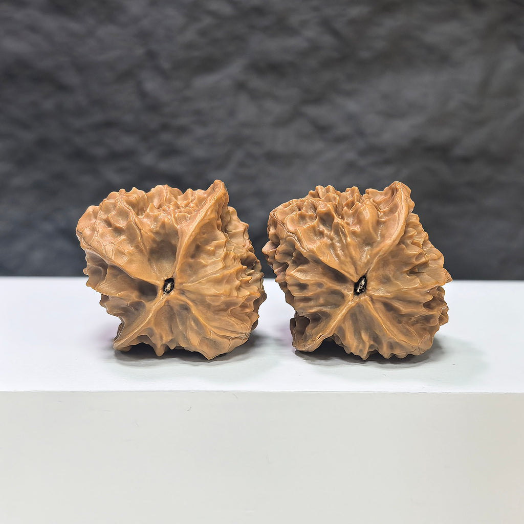 Wenwan Art Linglong x White Snake Valley Classic Wenwan Walnut pair, 33mm x 35mm, showcasing detailed carved walnut sculptures.