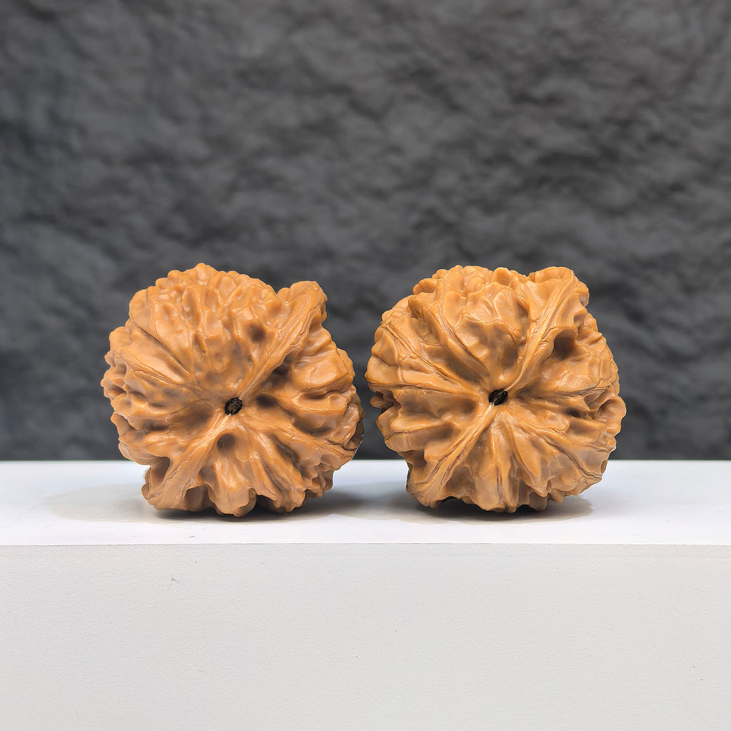 Selected grade Wild Bison Walnut Wenwan piece, 3.8×3.7cm, showcasing smooth texture and rich natural wood grain from Wenwan Art.
