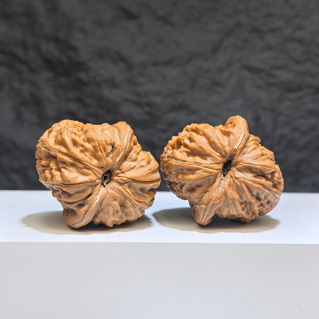 【收藏級】平谷元寶 文玩核桃 (3.8 × 4.2cm) | [Collector's Grade] Pinggu Sycee Walnut (3.8 × 4.2cm) - SKU: PGYB-1Z9