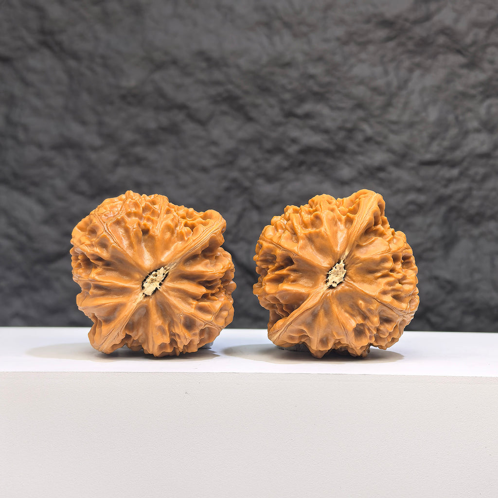 Pair of Palace Lantern Wenwan Walnuts by Wenwan Art, 42mm x 41mm, featuring intricate carved designs on smooth walnut surfaces.