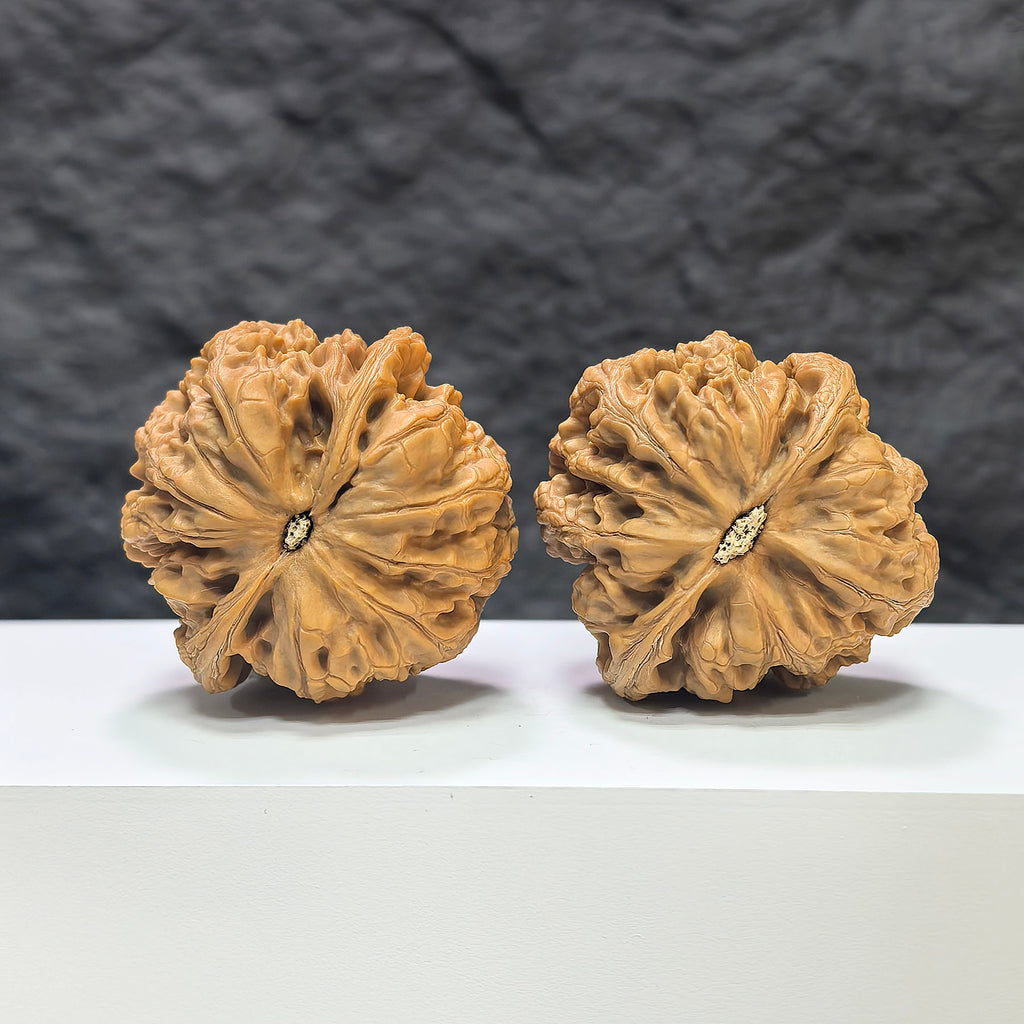 Pair of Classic Scholar Wenwan Walnuts by Wenwan Art, hand-matched with textured surface, 45mm size, featuring natural walnut appearance.