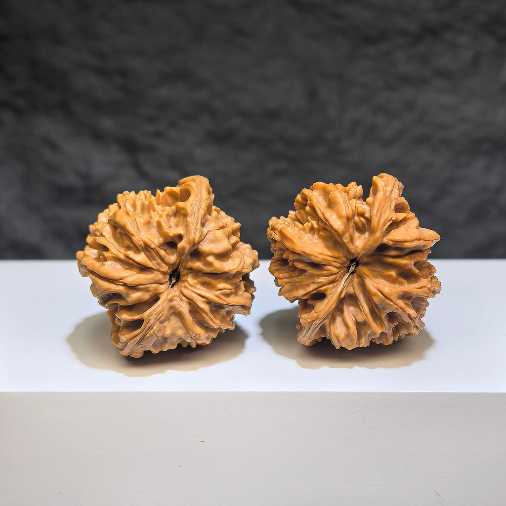 Pair of Tongtian Eight Wenwan walnuts by Wenwan Art, 36mm x 35mm, showcasing intricate natural wood grain patterns.