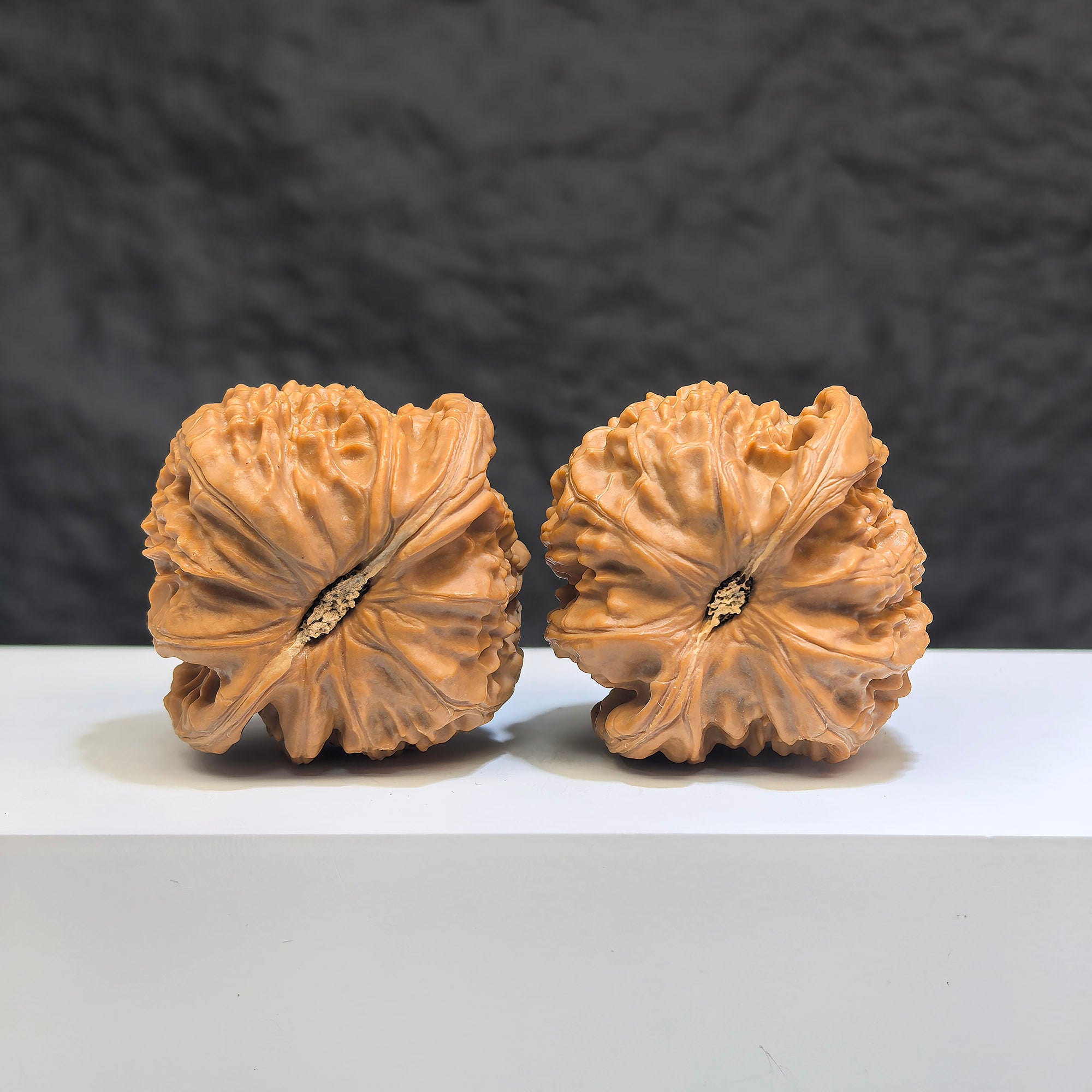 Pair of White Lion Wenwan Walnuts by Wenwan Art, featuring detailed white lion carvings on 41mm walnuts.