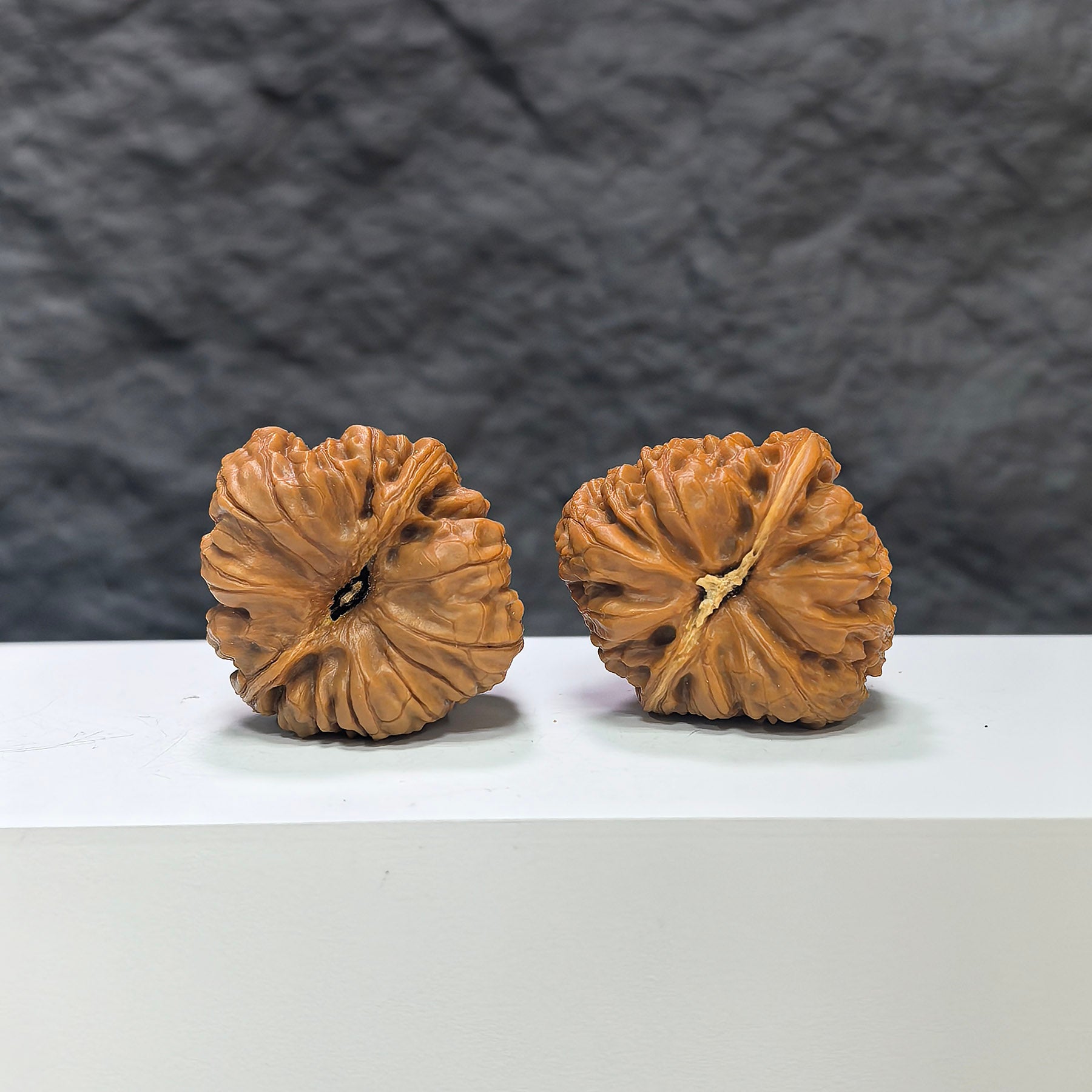 Pair of Pinggu Concave Base Wenwan walnuts with deep bases, measuring 33x37mm, from Wenwan Art showing detailed walnut surfaces.