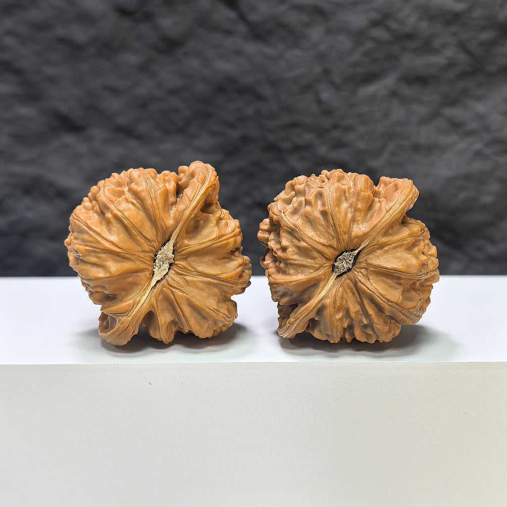 【收藏級】球形白獅子 文玩核桃 (4.4 × 4.3cm) | [Collector's Grade] Spherical White Lion Walnut (4.4 × 4.3cm) - SKU: BSZ-1A1