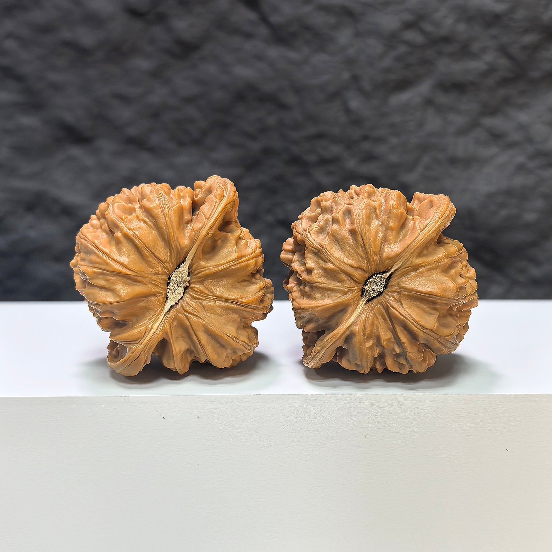 【收藏級】球形白獅子 文玩核桃 (4.4 × 4.3cm) | [Collector's Grade] Spherical White Lion Walnut (4.4 × 4.3cm) - SKU: BSZ-1A1