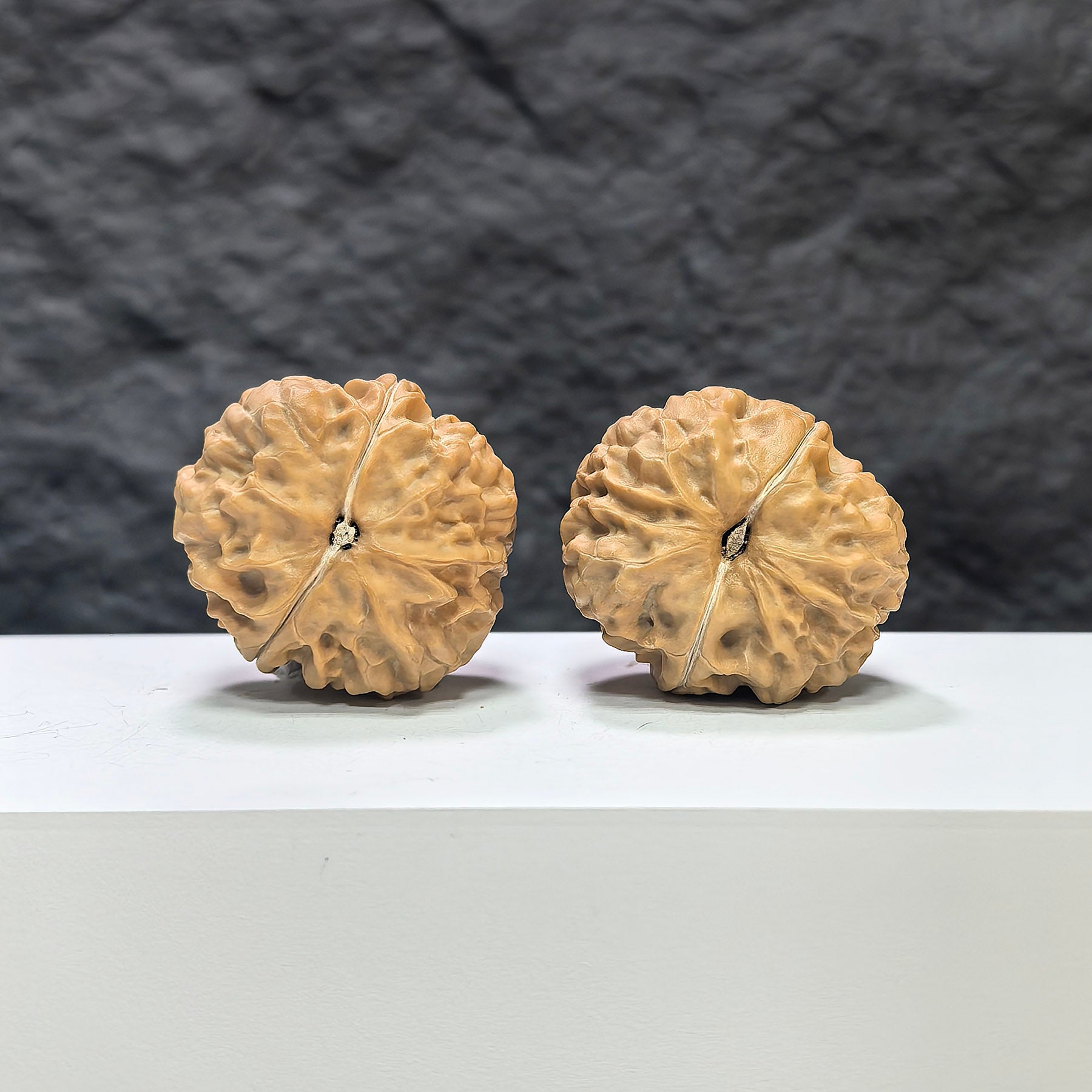 Pair of Golden Toad Vessel Wenwan Walnuts from Wenwan Art, 35mm x 38mm, featuring detailed toad designs on smooth walnut surfaces.