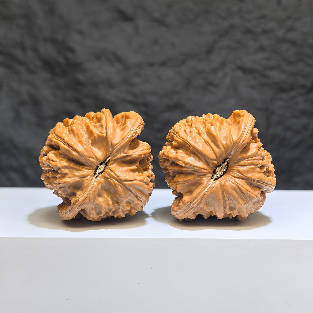 Pair of spherical white lion Wenwan walnuts from Wenwan Art, round profile, 43mm x 40mm, detailed white lion carvings.