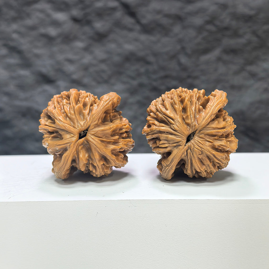Wenwan Art Wheat Ear Tiger Head Classic Wenwan Walnut pair showing detailed tiger head design in natural wood finish.