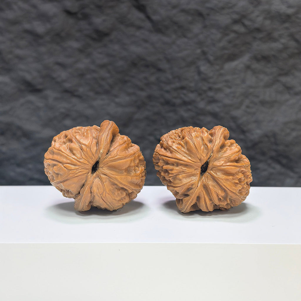 【精選級】平谷元寶 文玩核桃 (3.5 × 3.9cm) | [Selected Grade] Pinggu Sycee Walnut (3.5 × 3.9cm) - SKU: PGYB-1S4