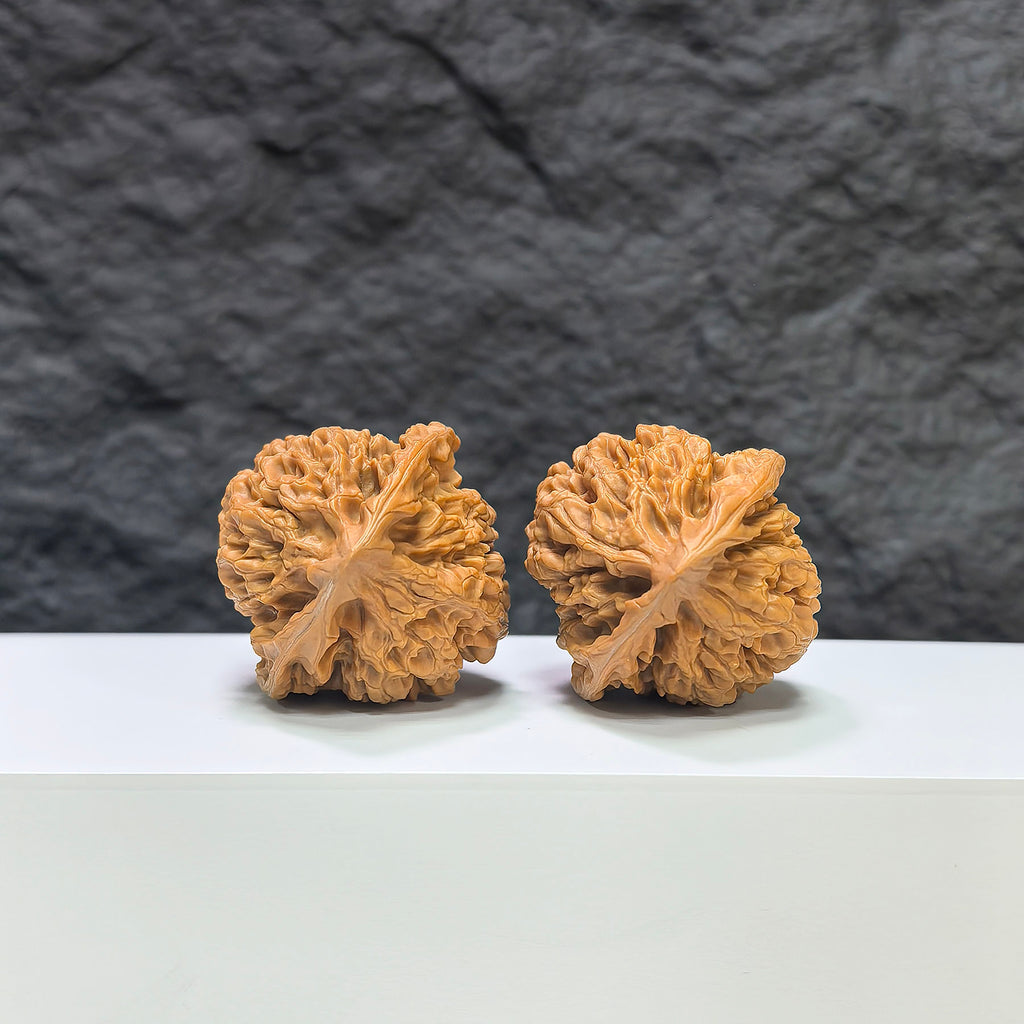 Official Wenwan Art hat-shaped walnut pair, classic Wenwan Walnuts with 39mm and 36mm dimensions, detailed and smooth surface.