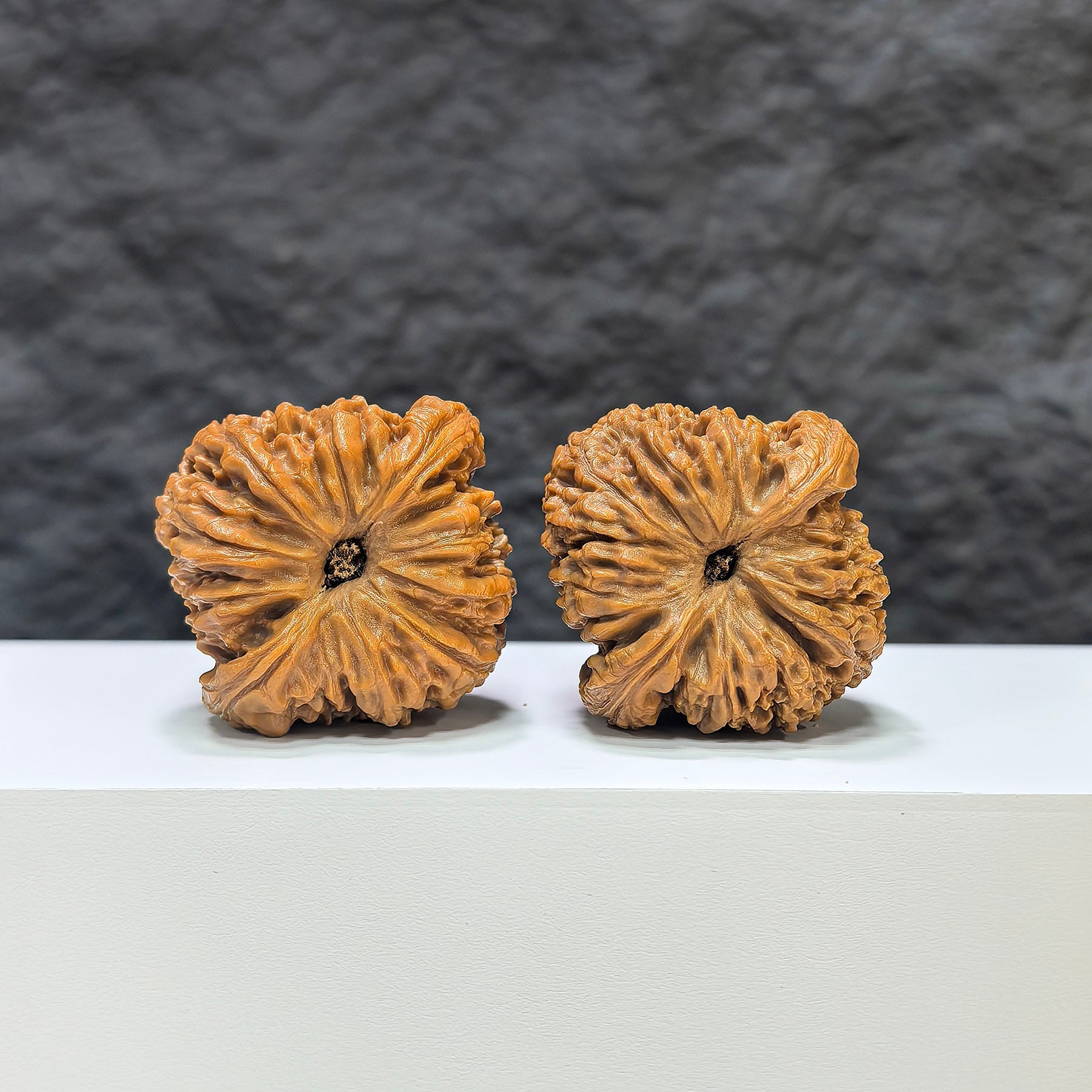 【收藏級】南疆石 文玩核桃 (4.0 × 4.0cm) | [Collector's Grade] Nanjiangstone Walnut (4.0 × 4.0cm) - SKU: NJS-1B5