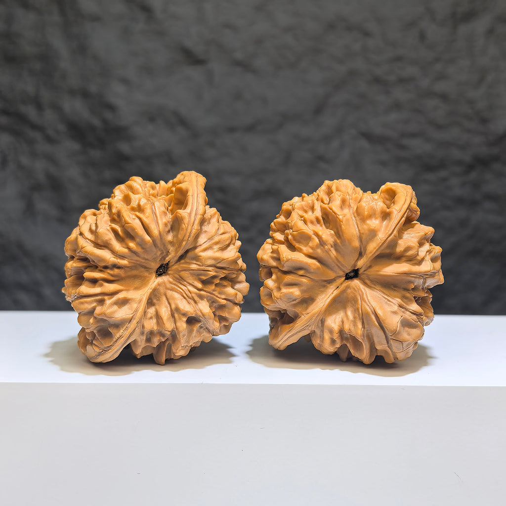 【收藏級】麒麟紋 文玩核桃 (4.9 × 4.3cm) | [Collector's Grade] Kylin Texture Walnut (4.9 × 4.3cm) - SKU: QLW-1Z5