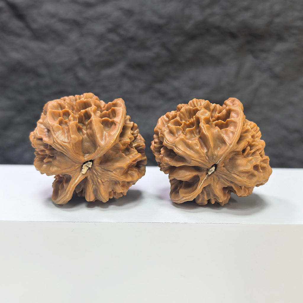 Pair of Emperor Wenwan Walnuts from Wenwan Art, 43mm and 42mm, showcasing smooth, polished walnut halves with natural grain patterns.