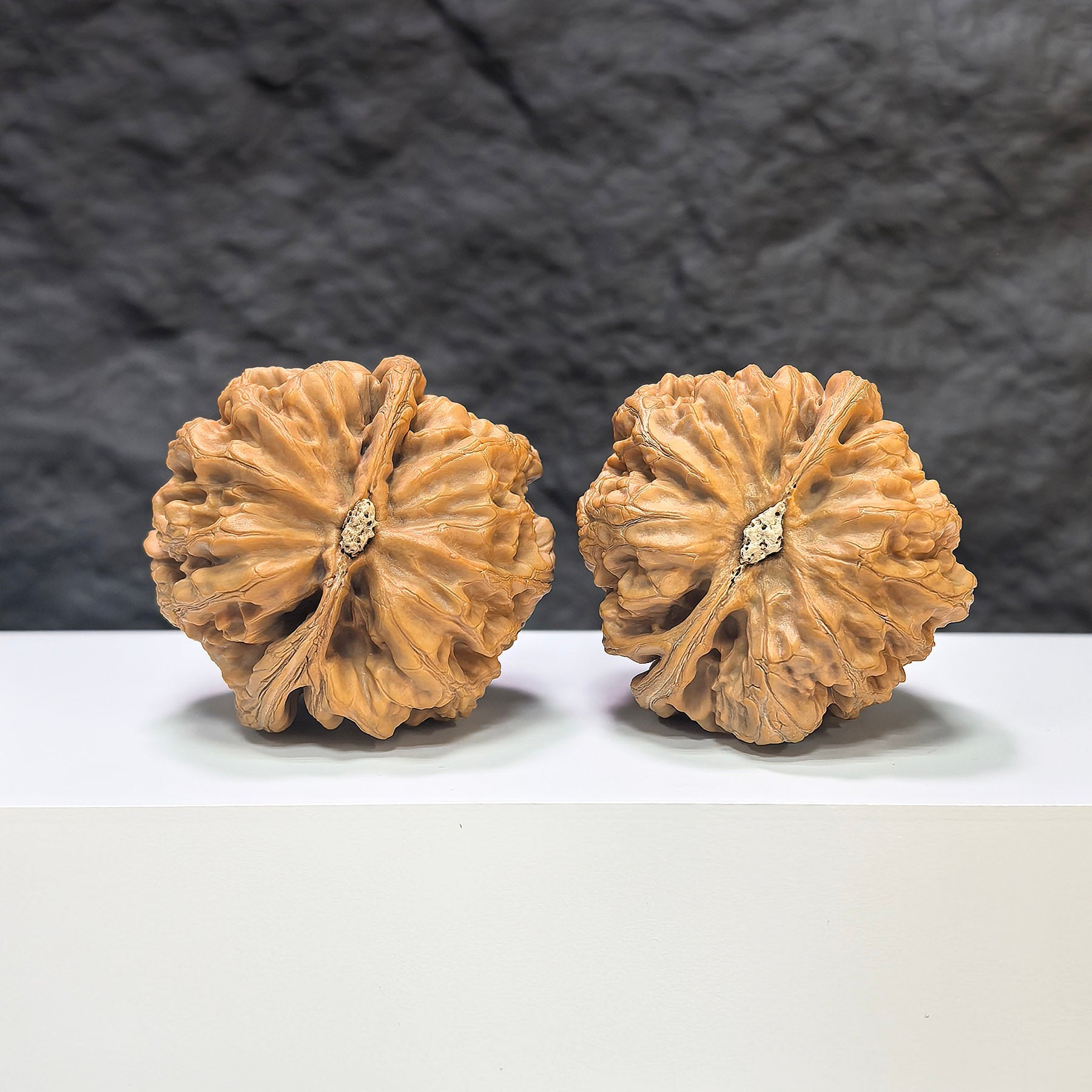 【精選級】大粗筋 文玩核桃 (4.6 × 4.6cm) | [Selected Grade] Large Thick Rib Walnut (4.6 × 4.6cm) - SKU: DCJ-1S9