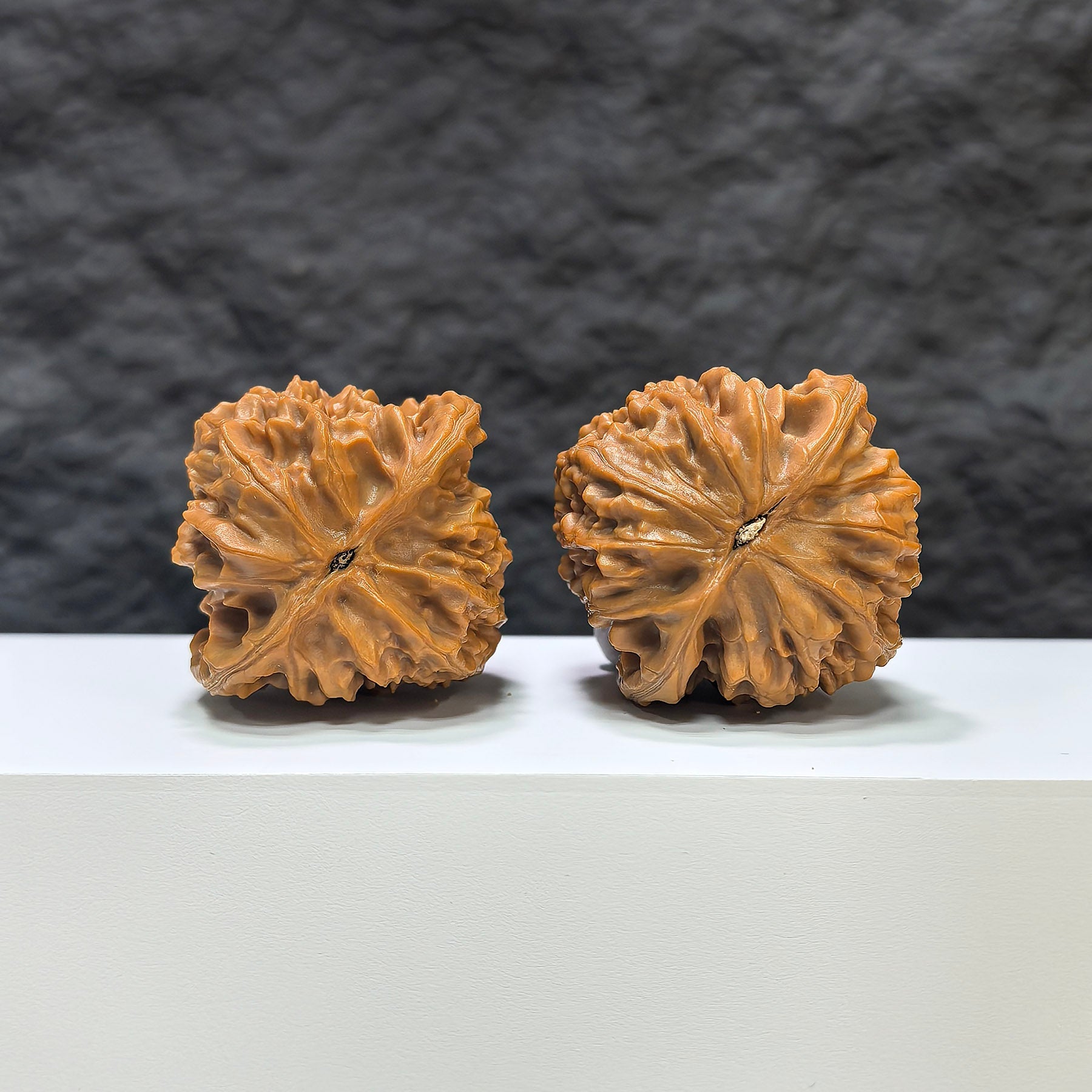 【收藏級】北京雞心 文玩核桃 (4.4 × 4.2cm) | [Collector's Grade] Beijing Chicken Heart Walnut (4.4 × 4.2cm) - SKU: JX-1B2