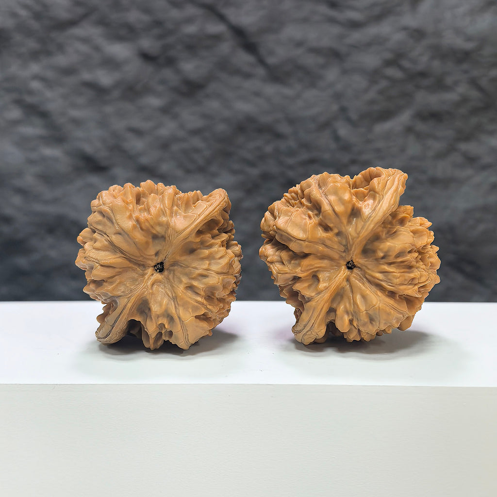 Wenwan Art official hat-shaped Wenwan walnut pair, 44mm x 40mm, featuring detailed carvings on smooth walnut surfaces.