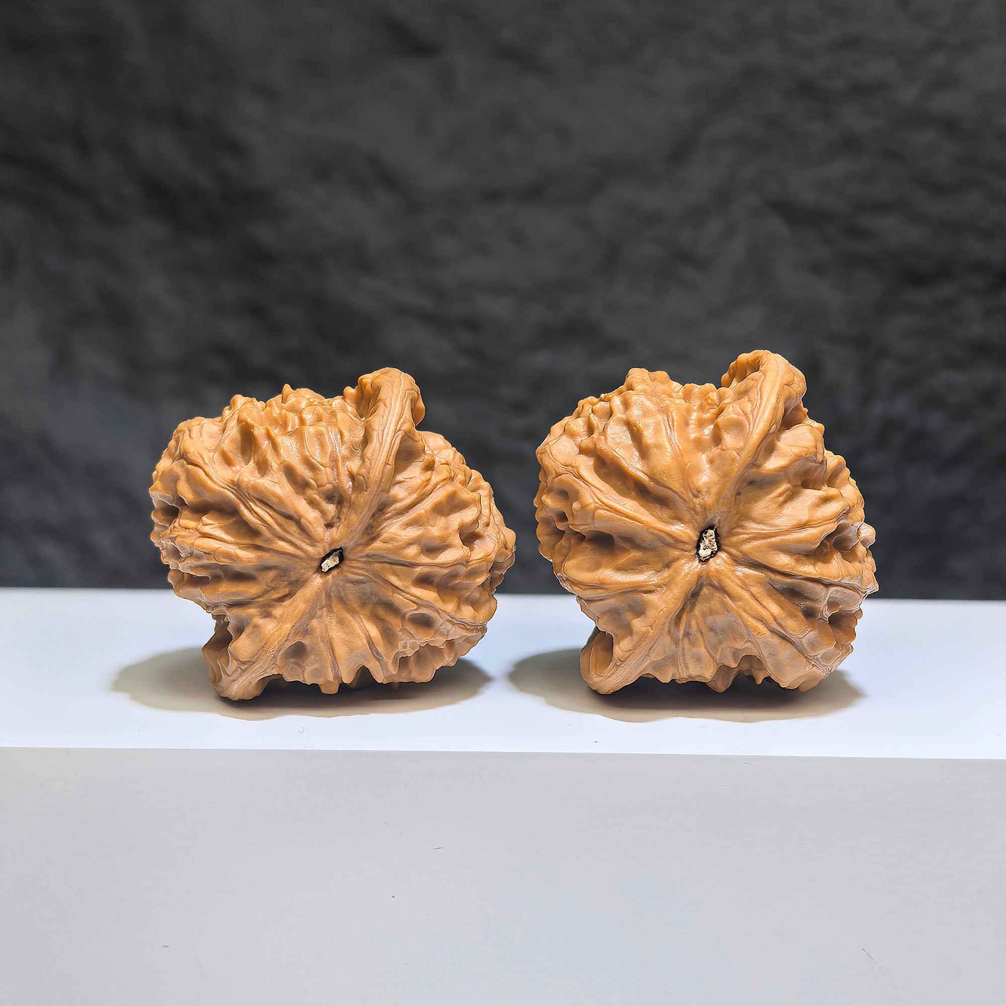 【收藏級】野狼 文玩核桃 (4.0 × 3.9cm) | [Collector's Grade] Wild Wolf Walnut (4.0 × 3.9cm) - SKU: YL-1Z4
