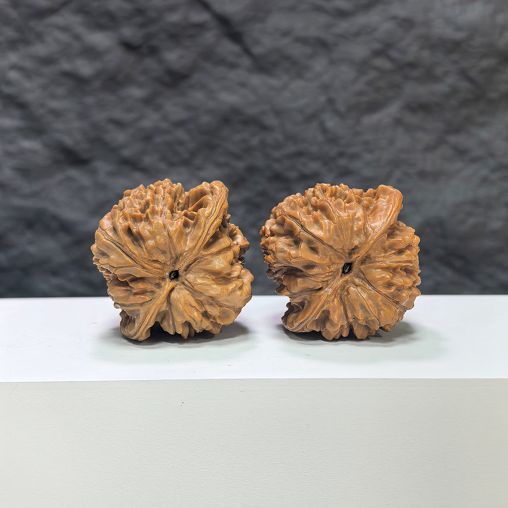 Official Wenwan Art classic walnut pair featuring 40mm and 38mm walnuts with natural wood grain details.