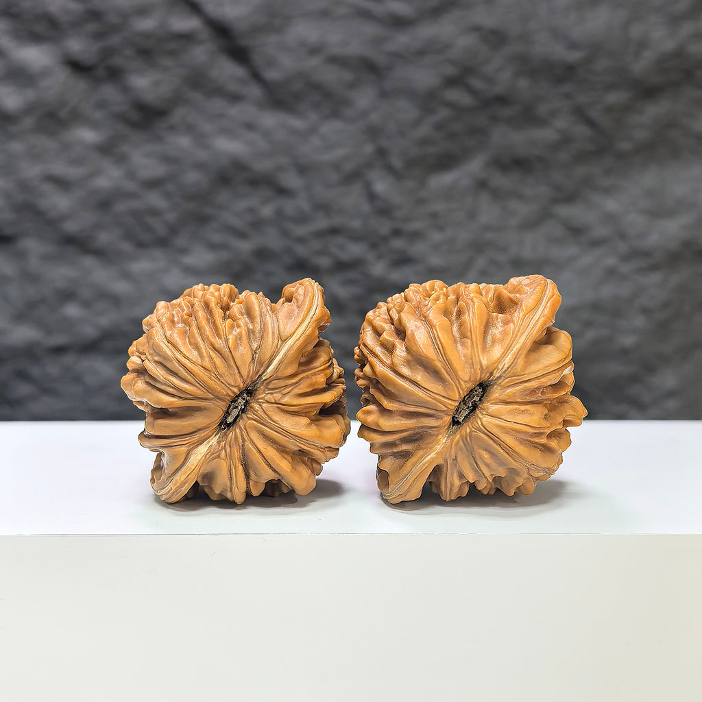 Pair of Sizuolou Wenwan walnuts by Wenwan Art, classic 41mm x 37mm natural walnut carvings, detailed wood texture visible.