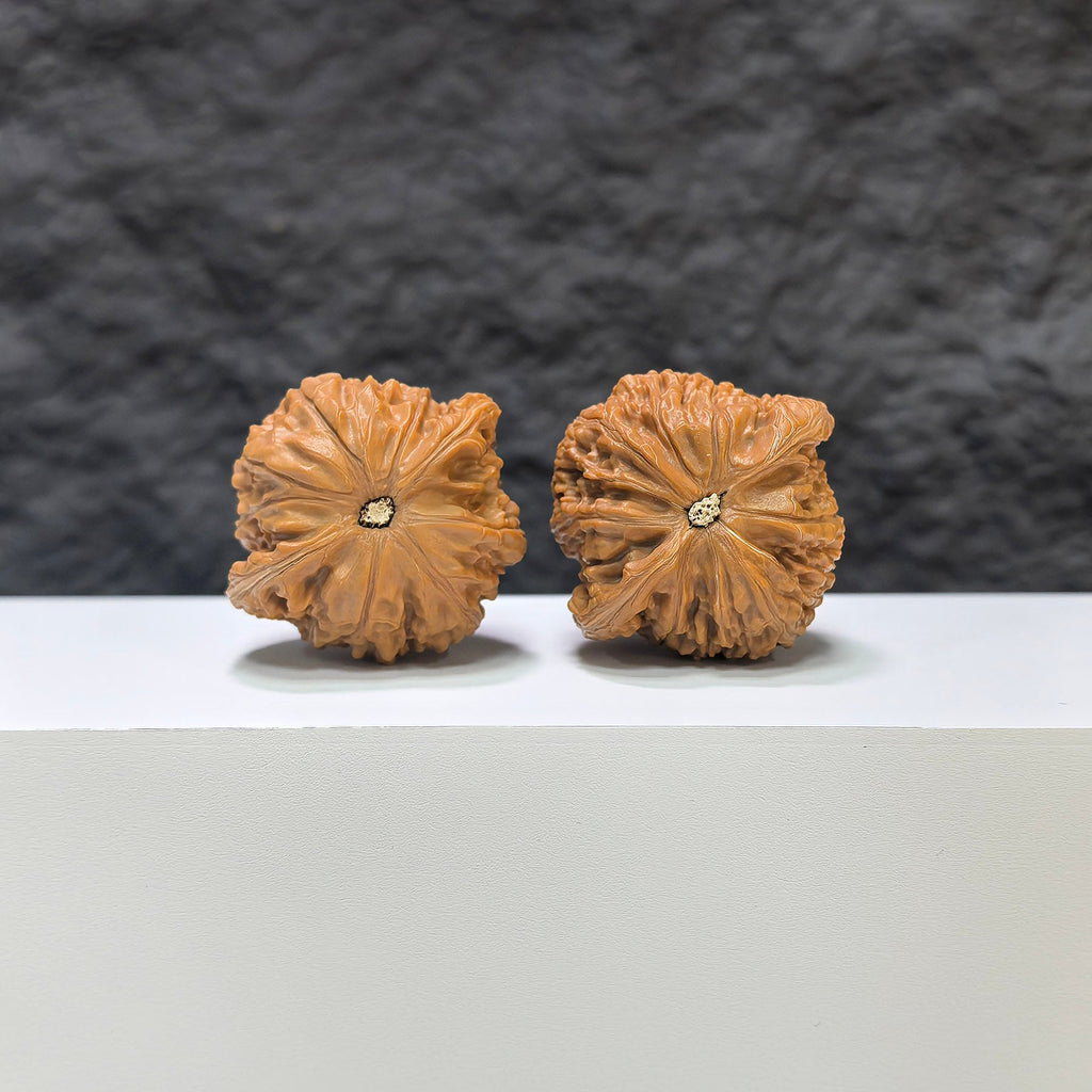 【收藏級】磨盤 文玩核桃 (3.9 × 3.6cm) | [Collector's Grade] Millstone Walnut (3.9 × 3.6cm) - SKU: MB-1C1