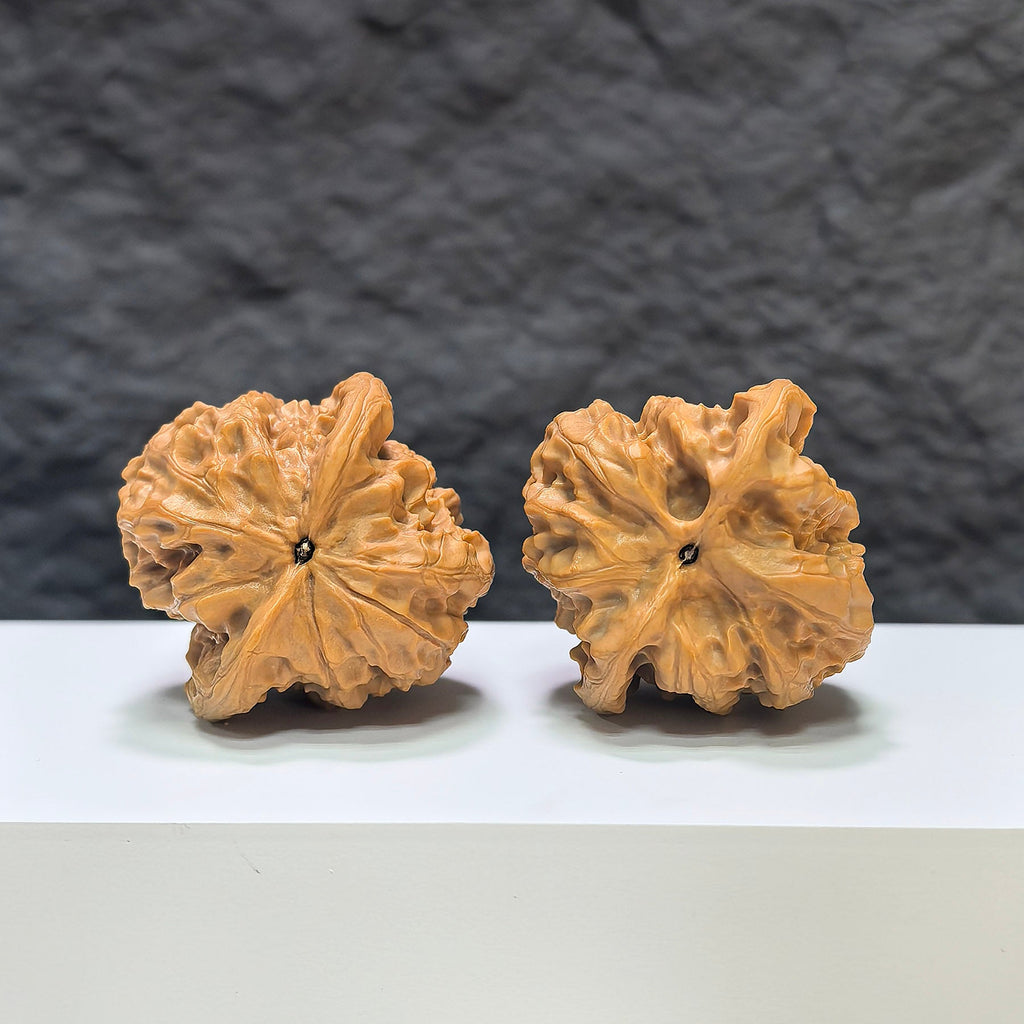 【收藏級】野狼 文玩核桃 (4.0 × 4.0cm) | [Collector's Grade] Wild Wolf Walnut (4.0 × 4.0cm) - SKU: YN-1A3