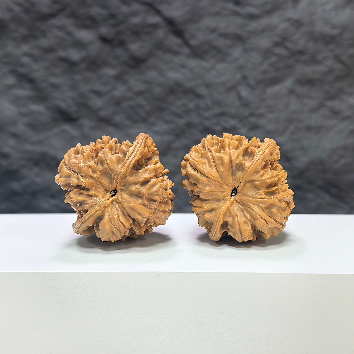 Close-up of authentic Wild Wenwan Walnuts from Wenwan Art, showing natural textures and size details on a neutral background.