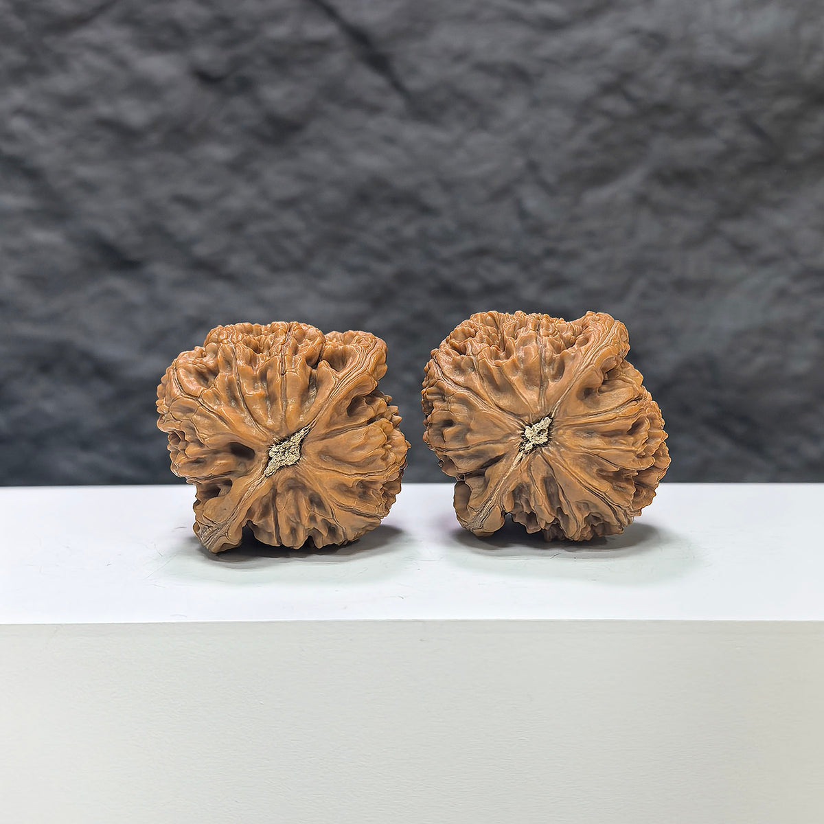 Wenwan Art Water Dragon Texture Classic Wenwan Walnut pair with detailed water dragon pattern, 37mm x 36mm, showcasing intricate carvings.