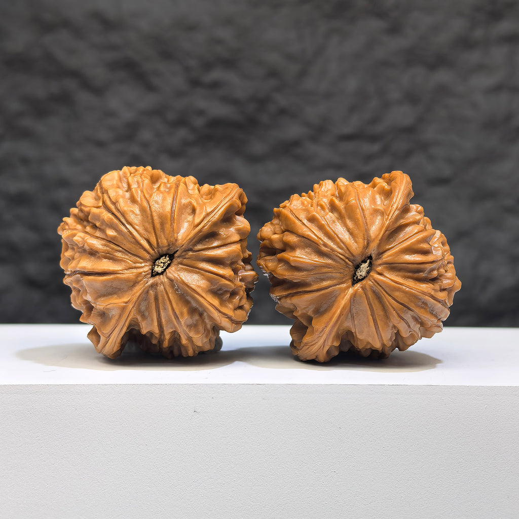 Red Shell Millstone Wenwan Walnut pair by Wenwan Art, 39mm x 38mm, showcasing smooth, vibrant red shell carvings and natural walnut texture.