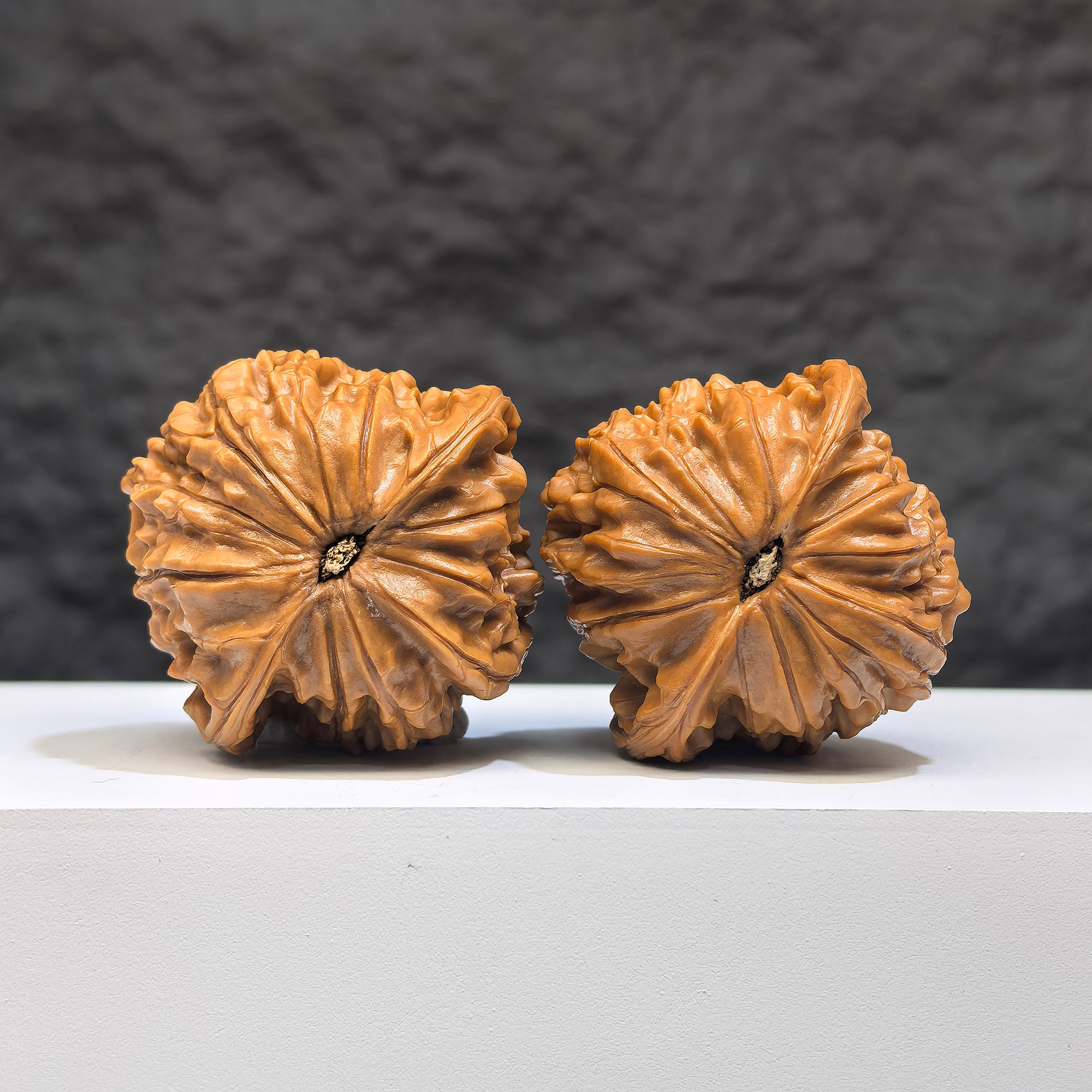 Red Shell Millstone Wenwan Walnut pair by Wenwan Art, 39mm x 38mm, showcasing smooth, vibrant red shell carvings and natural walnut texture.