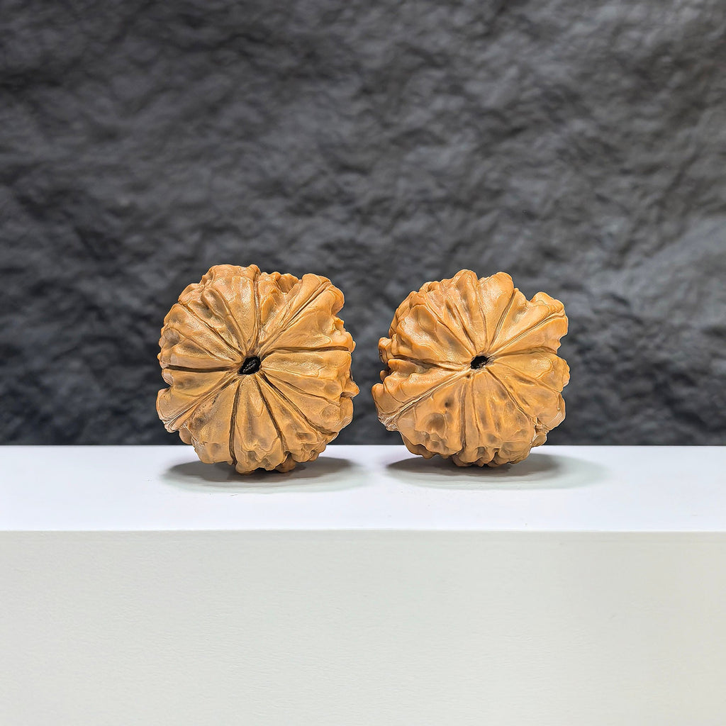 【收藏級】甲骨文 文玩核桃 (4.0 × 3.8cm) | [Collector's Grade] Oracle Bone Script Walnut (4.0 × 3.8cm) - SKU: JGW-1B1