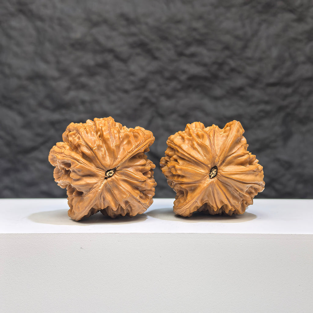 Pair of Butterfly Millstone Wenwan Walnuts by Wenwan Art, 38mm x 37mm, featuring intricate butterfly and millstone carvings.