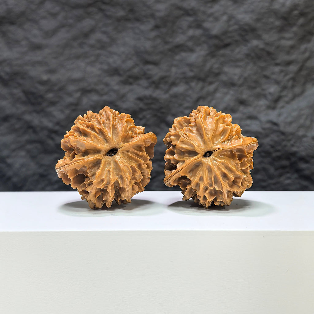 【收藏級】燈籠 文玩核桃 (4.0 × 3.9cm) | [Collector's Grade] Lantern Walnut (4.0 × 3.9cm) - SKU: DL-1B8