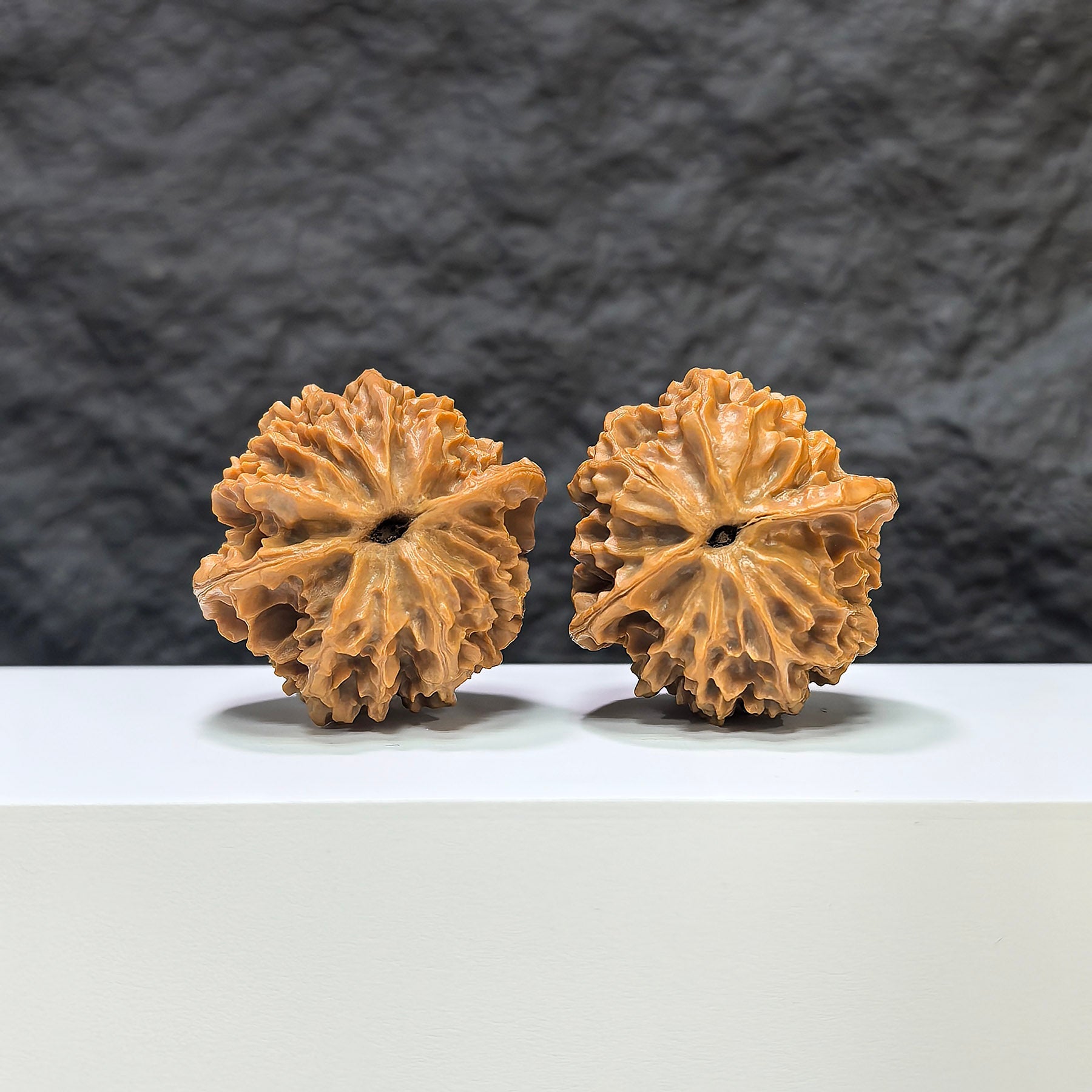 【收藏級】燈籠 文玩核桃 (4.0 × 3.9cm) | [Collector's Grade] Lantern Walnut (4.0 × 3.9cm) - SKU: DL-1B8
