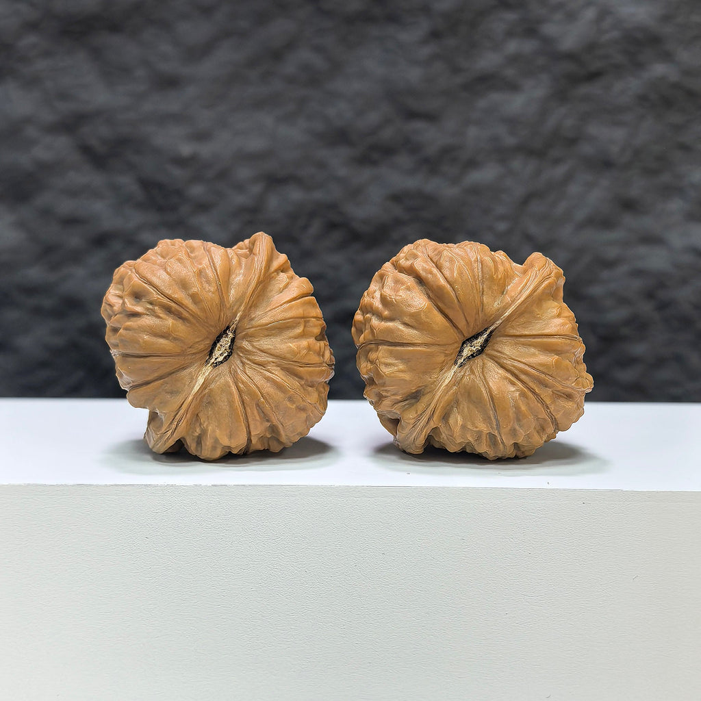 【收藏級】凹底南瓜墩 文玩核桃 (3.9 × 4.0cm) | [Collector's Grade] Concave Base Pumpkin Pier Walnut (3.9 × 4.0cm) - SKU: NGD-1B9