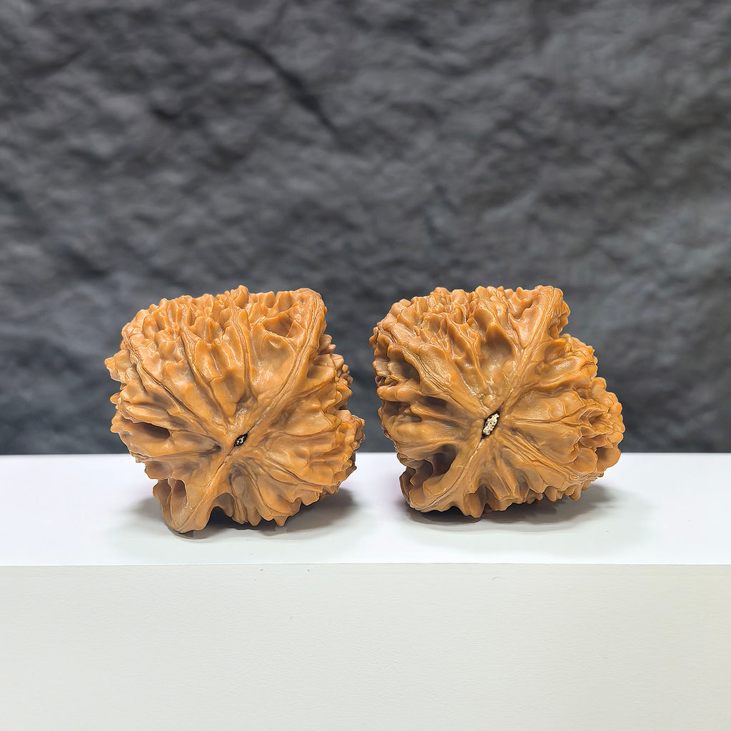 Pair of Beijing Chicken Heart Wenwan walnuts from Wenwan Art, classic 43mm x 45mm walnut display with detailed natural grains.