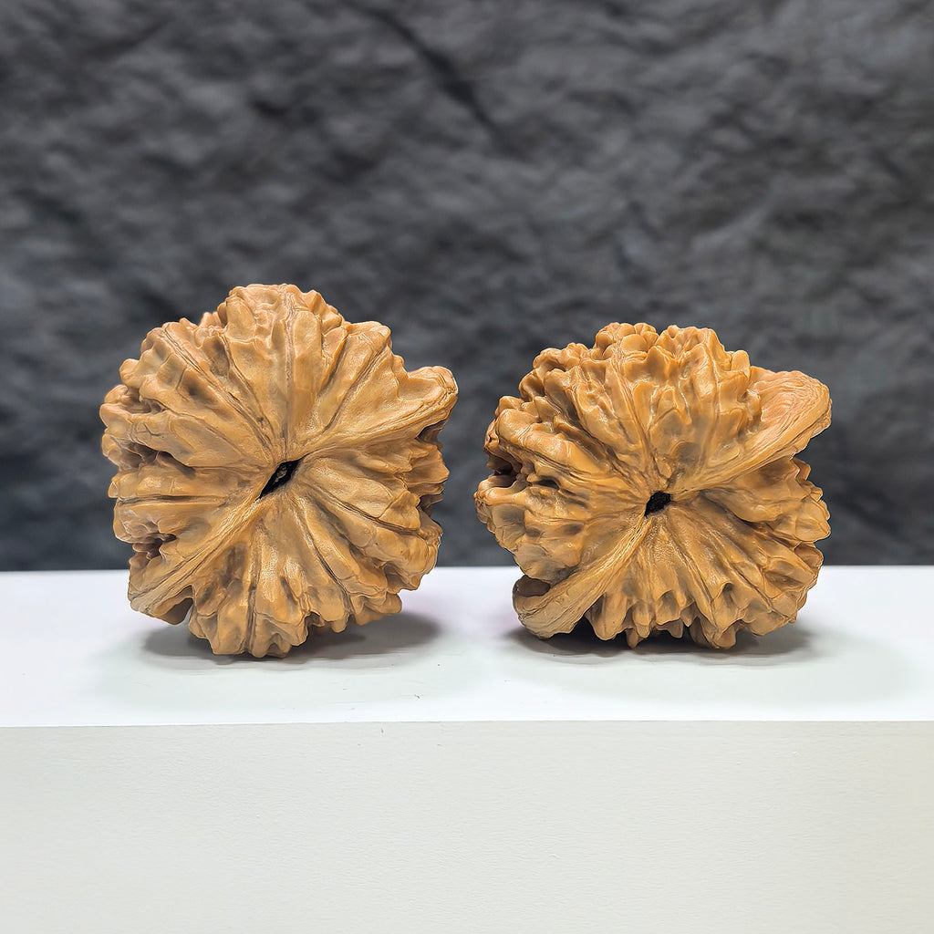 Pair of large Wenwan Art official hat-shaped walnuts, 47mm x 43mm, showcasing detailed craftsmanship and natural walnut textures.